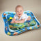 TummyTime Water Mat